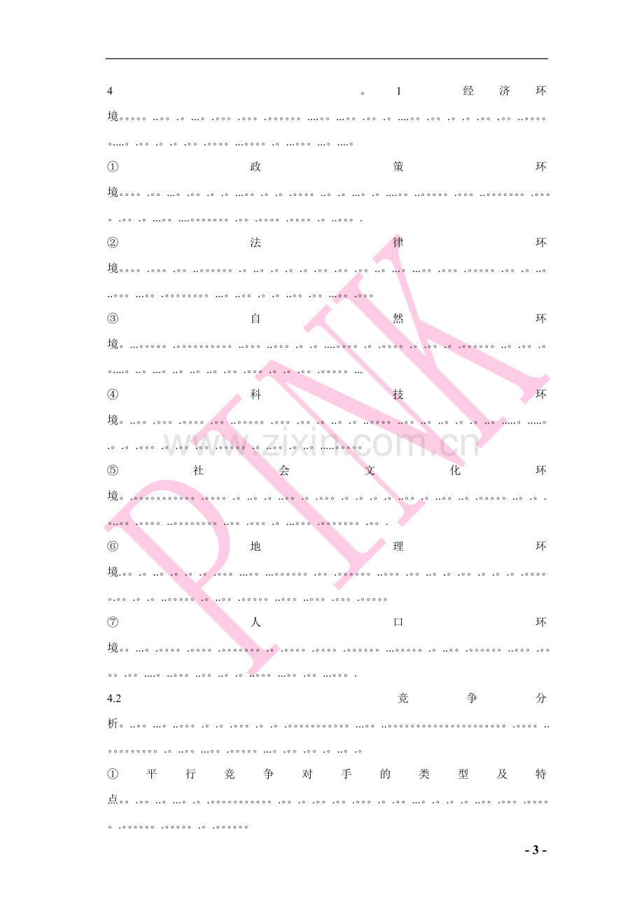 拼客公司计划书.doc_第3页