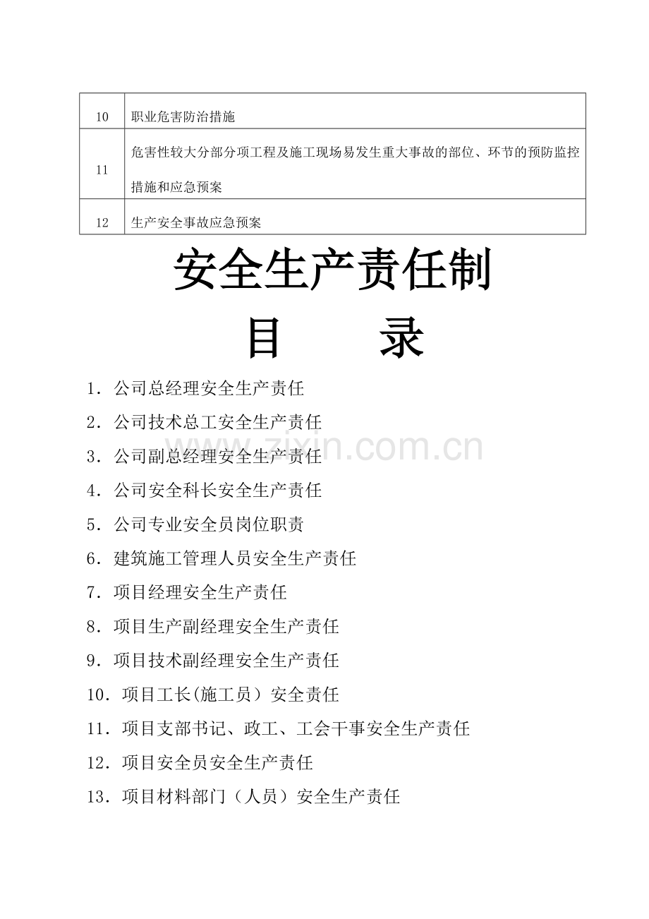 安全生产许可证申报全套材料.doc_第2页