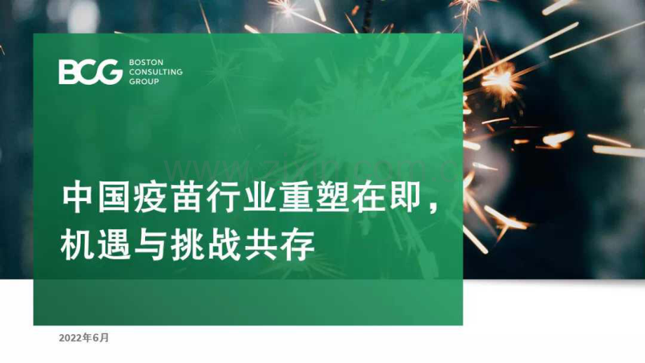 中国疫苗行业重塑在即机遇与挑战共存.pdf_第1页