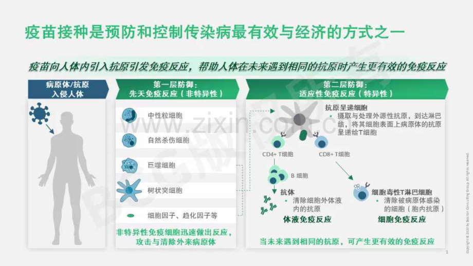 中国疫苗行业重塑在即机遇与挑战共存.pdf_第2页