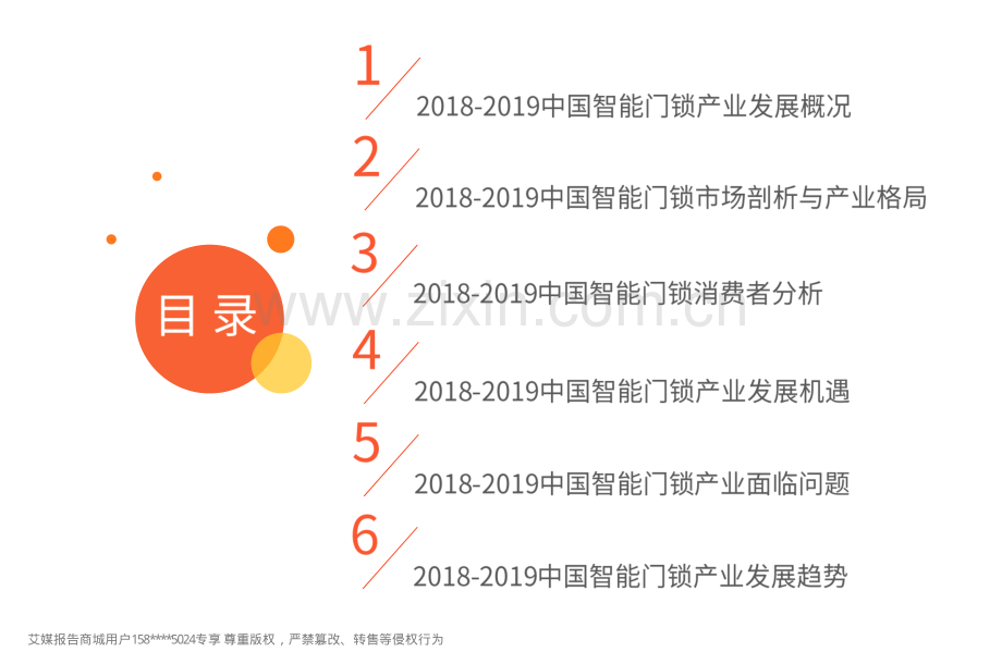 2018-2019中国智能门锁产业研究与商业投资决策分析报告.pdf_第3页