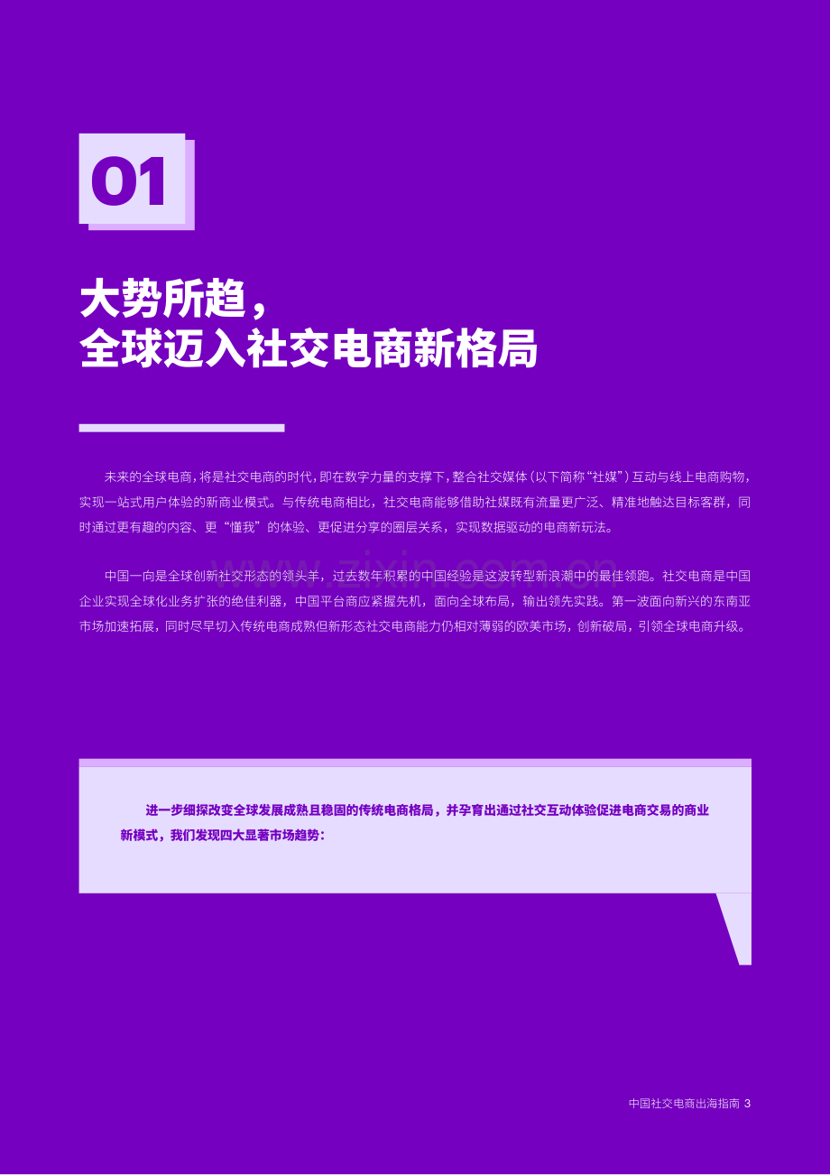 中国社交电商出海指南.pdf_第3页