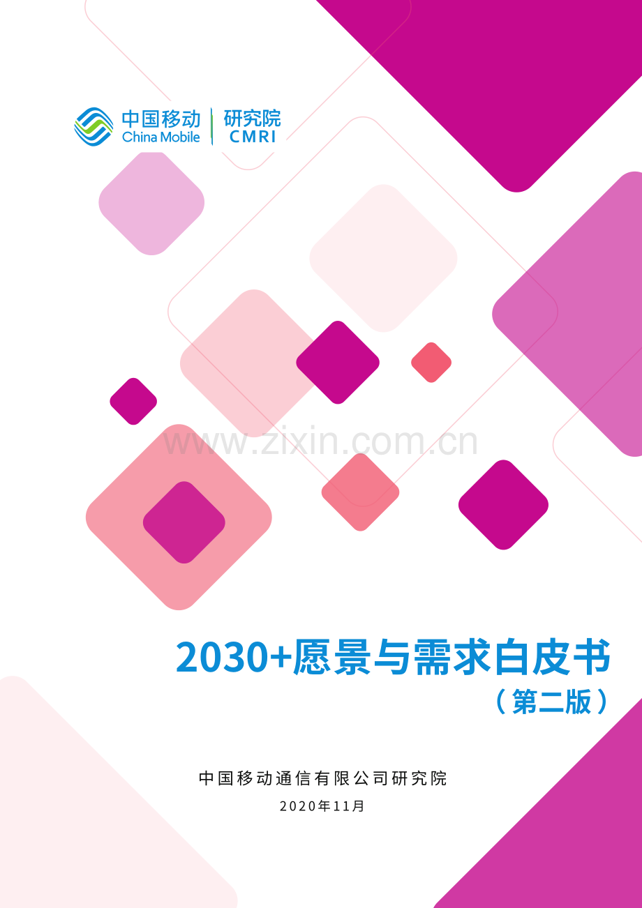 2030愿景与需求白皮书.pdf_第1页