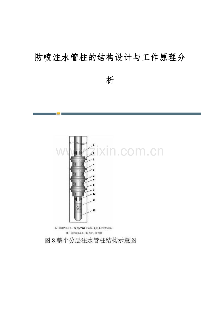 防喷注水管柱的结构设计与工作原理分析.docx_第1页