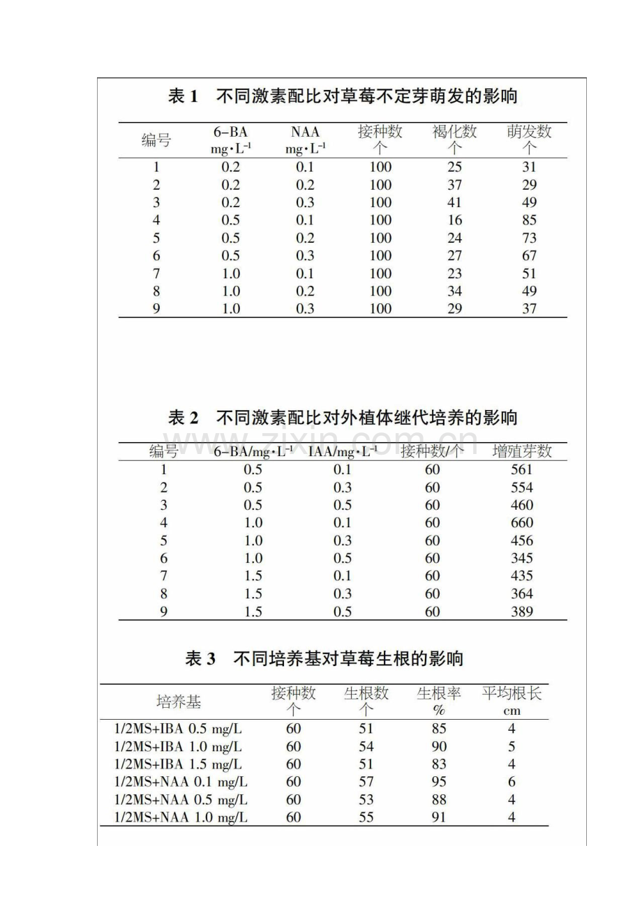 红颜草莓茎尖组培快繁技术研究.docx_第2页