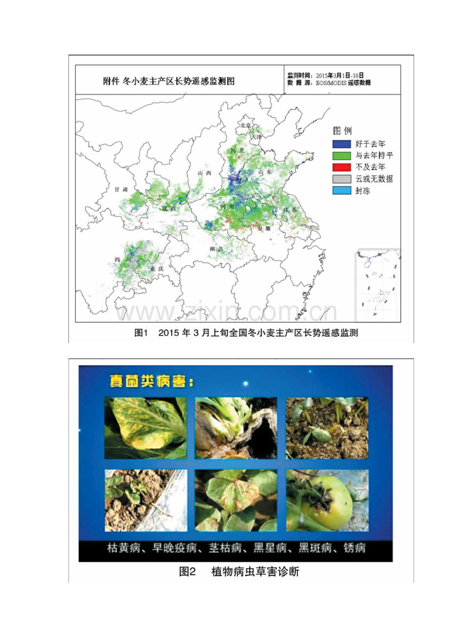 图像处理技术在信息农业中的应用现状及发展趋势.docx_第2页