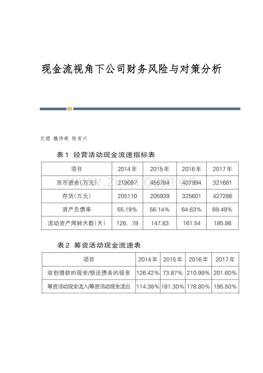 现金流视角下公司财务风险与对策分析.docx_第1页