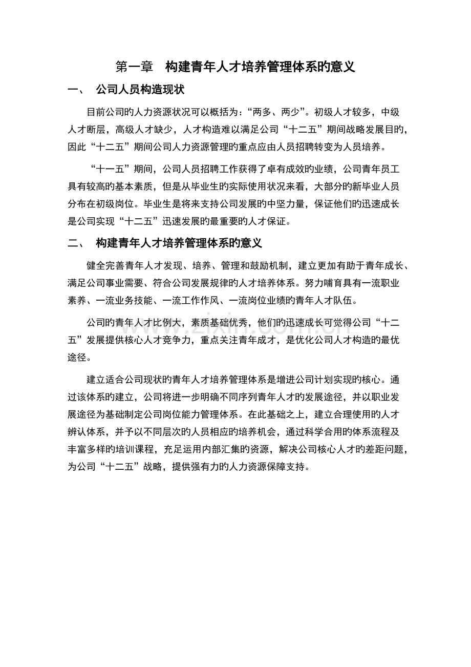 公司青年人才培养方案.docx_第2页