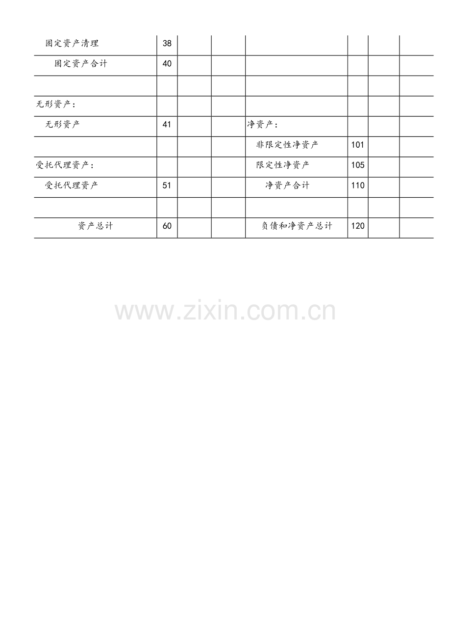 社会团体财务报表.docx_第2页