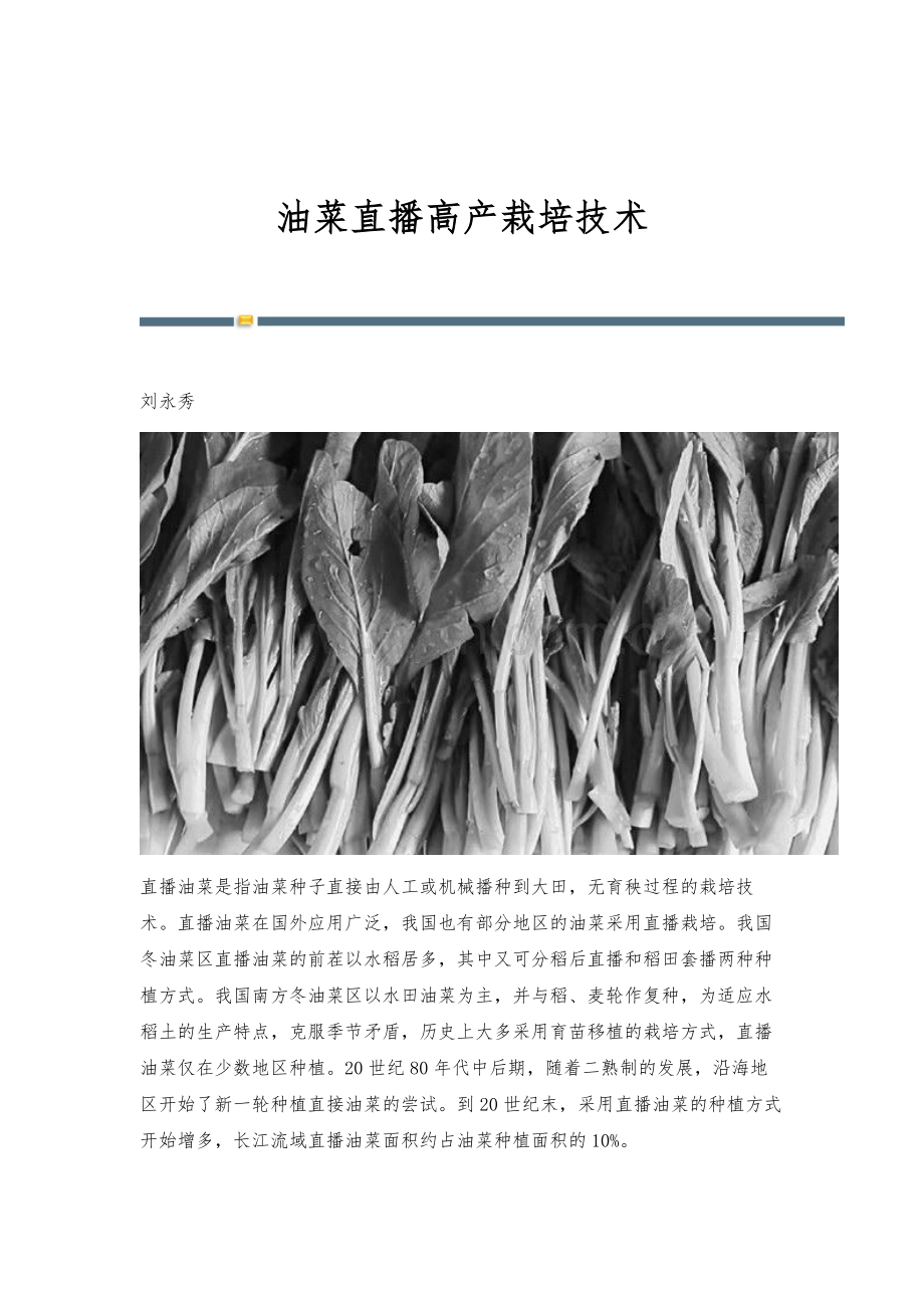 油菜直播高产栽培技术.docx_第1页