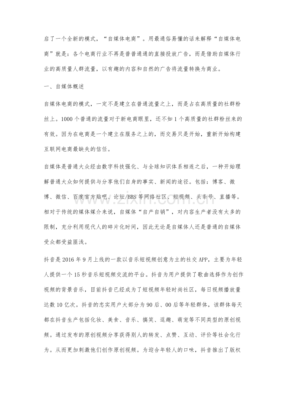 自媒体运营策略分析.docx_第2页