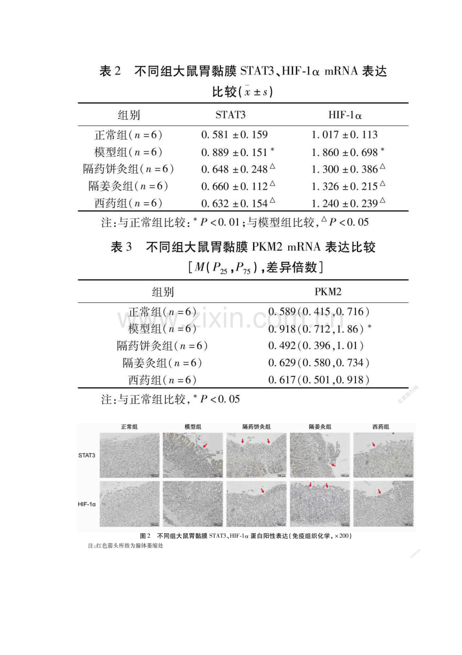 隔物灸调控缺氧诱导因子-1α表达抑制慢性萎缩性胃炎大鼠糖酵解的机制研究.docx_第3页