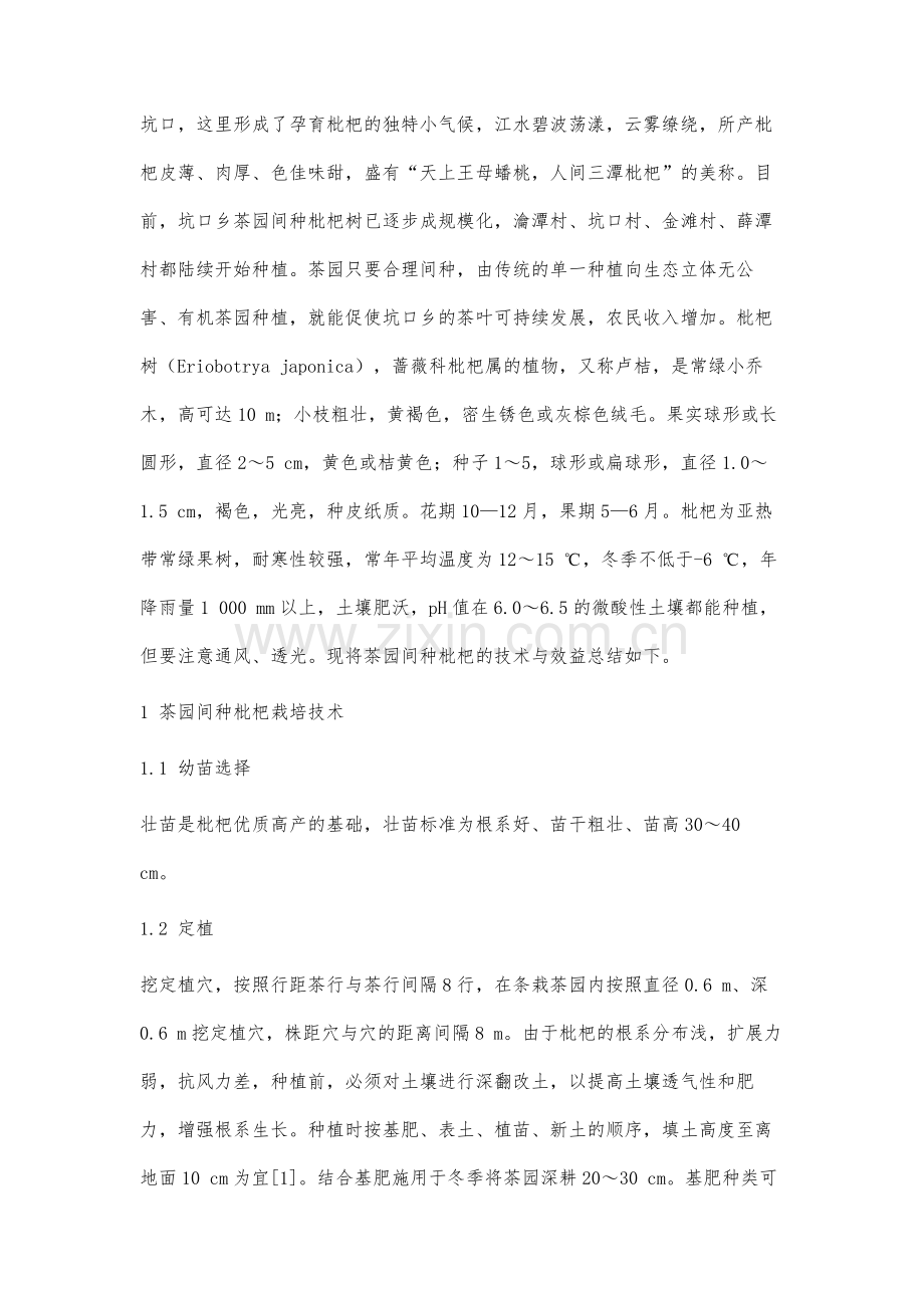 歙县坑口乡茶园间种枇杷树栽培技术及效益分析.docx_第2页