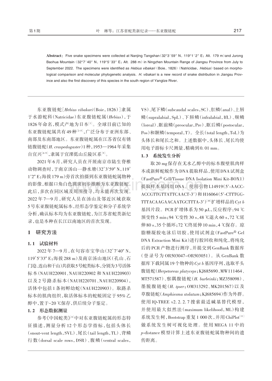 江苏省蛇类新纪录——东亚腹链蛇.pdf_第2页