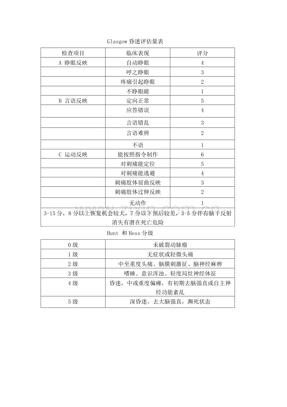 卒中评分量表.doc_第2页