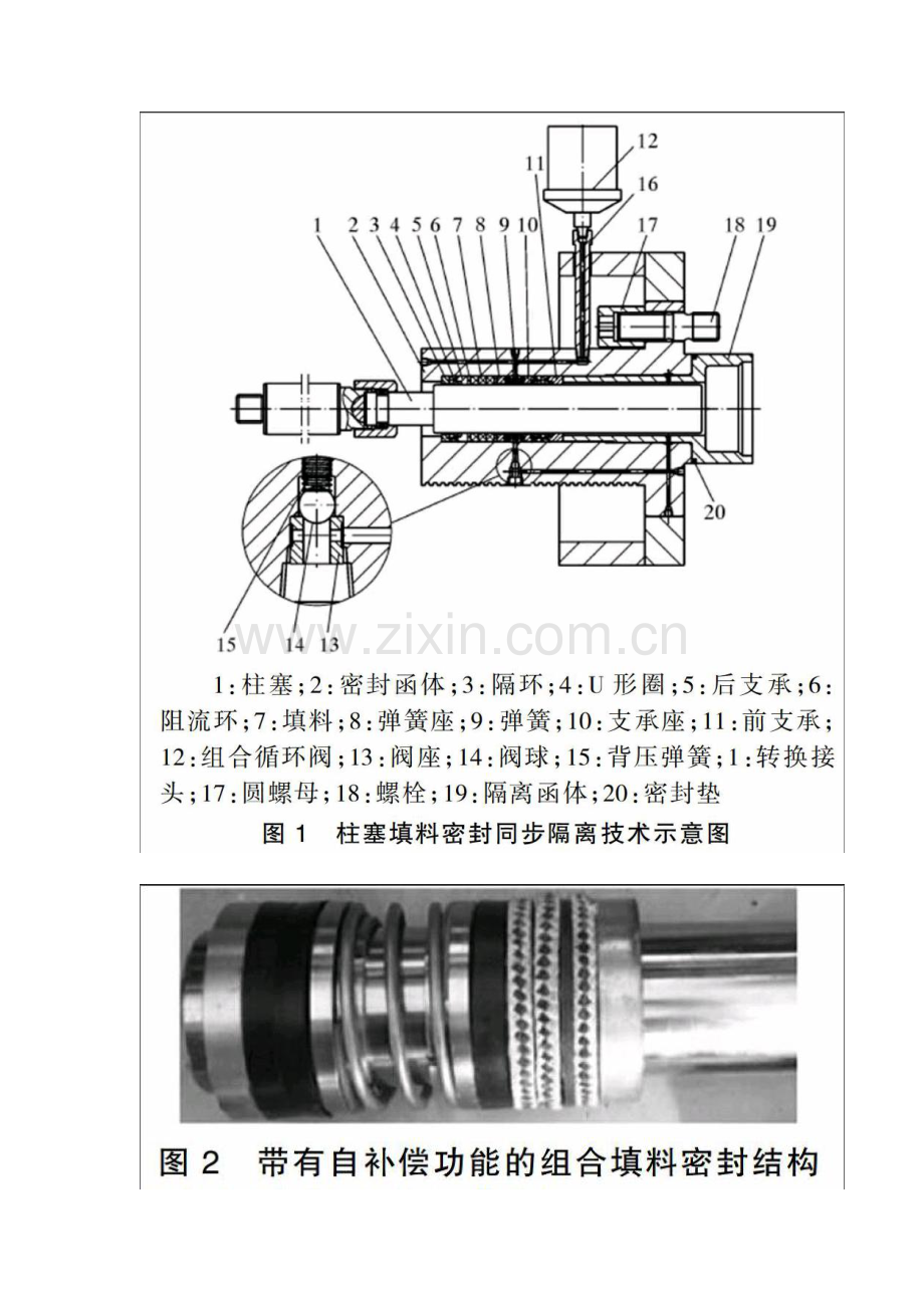 柱塞式注水泵技术改进与应用分析.docx_第2页