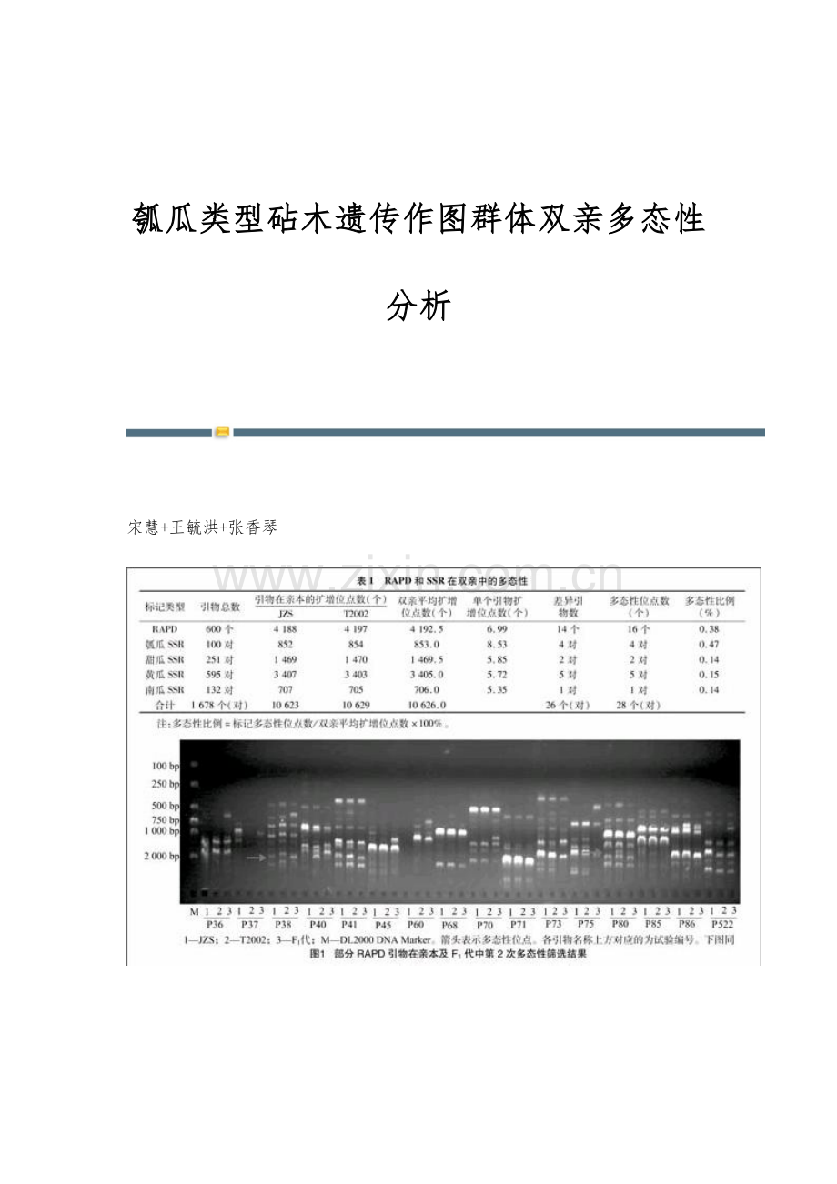 瓠瓜类型砧木遗传作图群体双亲多态性分析.docx_第1页