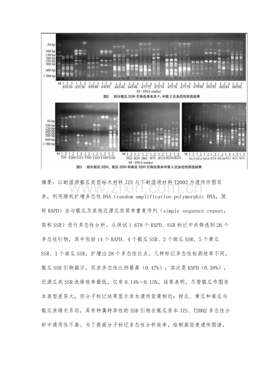 瓠瓜类型砧木遗传作图群体双亲多态性分析.docx_第2页