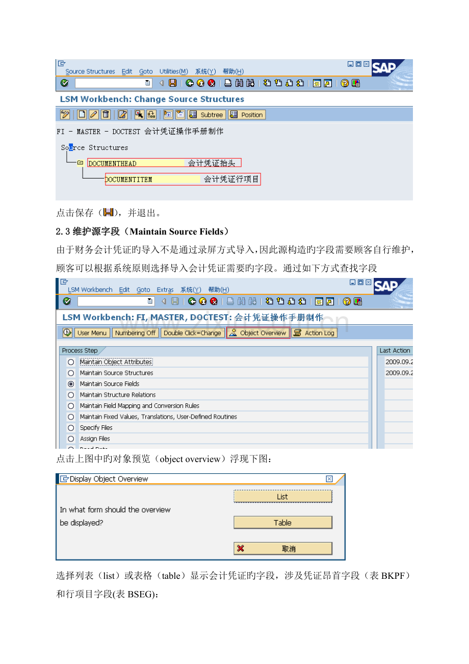 会计凭证LSMW导入操作手册.doc_第3页