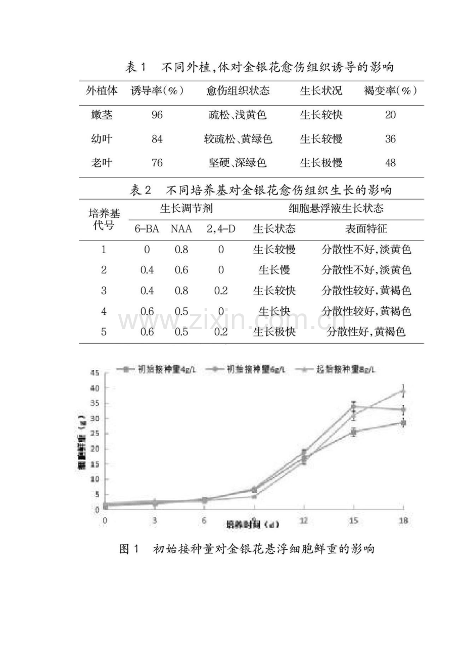 金银花细胞悬浮培养体系的建立研究.docx_第2页