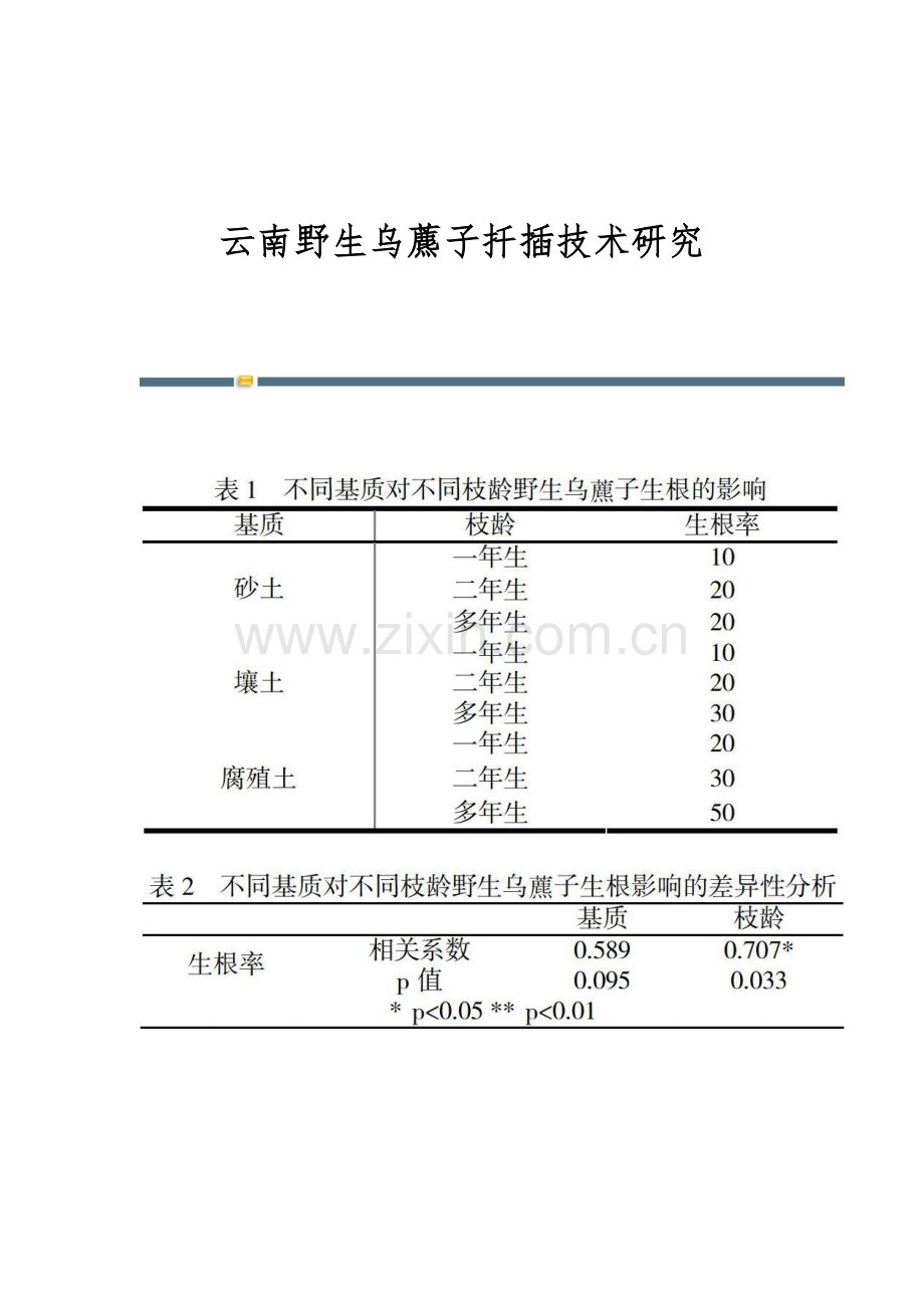 云南野生乌藨子扦插技术研究.docx_第1页