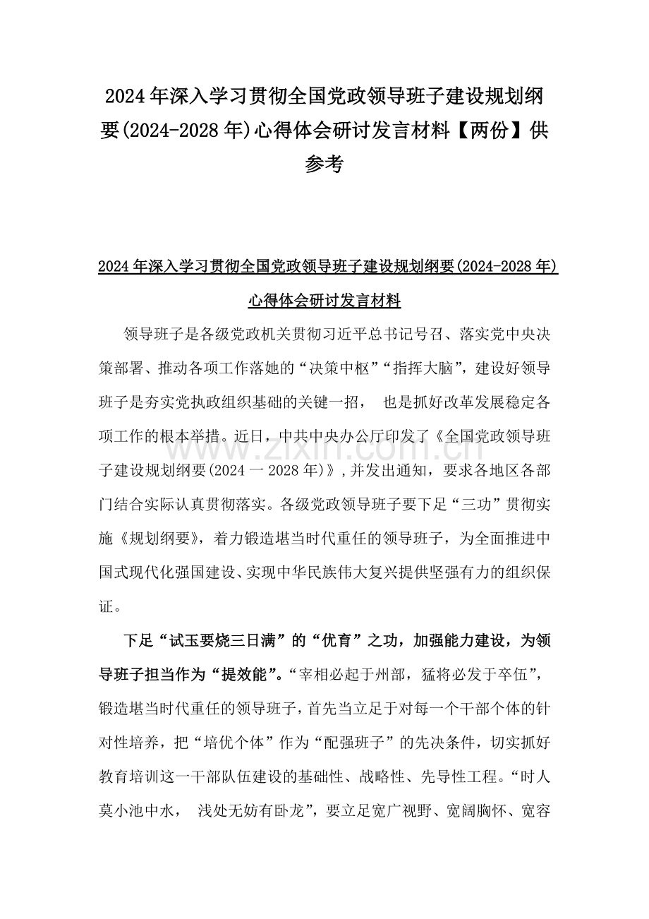 2024年深入学习贯彻全国党政领导班子建设规划纲要(2024-2028年)心得体会研讨发言材料【两份】供参考.docx_第1页