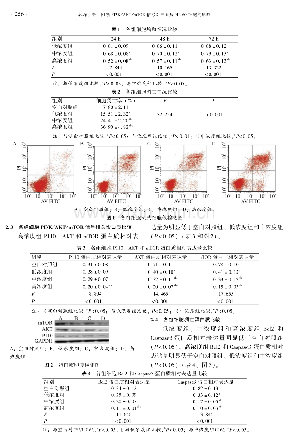 阻断PI3K_AKT_mTOR信号对白血病HL-60细胞的影响.pdf_第3页