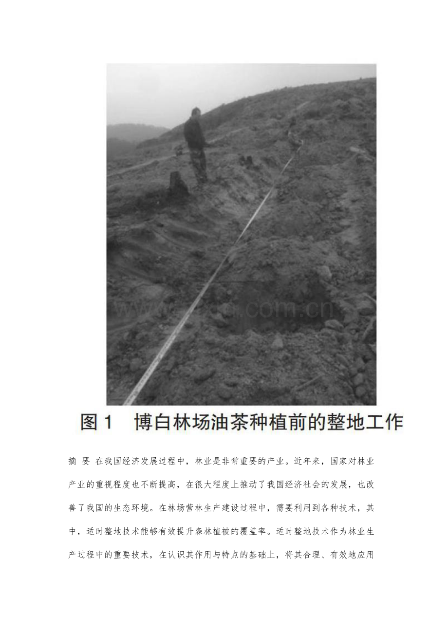 博白林场营林生产建设中的适时整地技术应用分析.docx_第2页