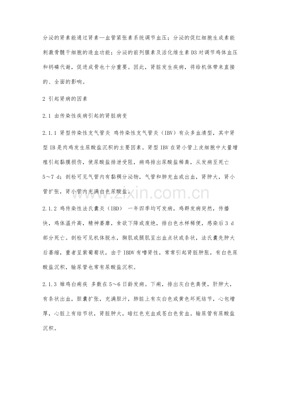 鸡肾脏疾病的原因分析与防治.docx_第2页