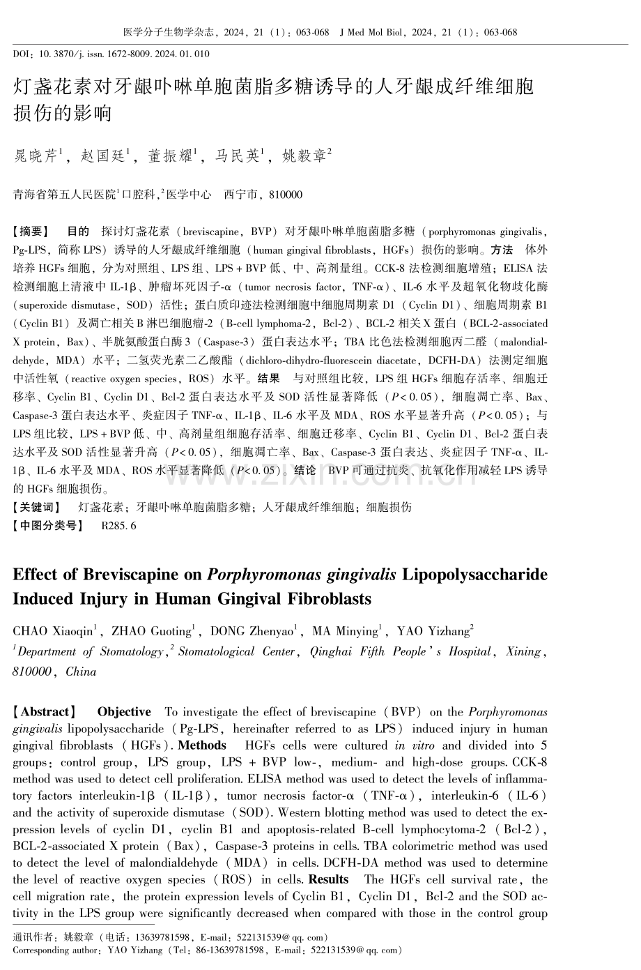 灯盏花素对牙龈卟啉单胞菌脂多糖诱导的人牙龈成纤维细胞损伤的影响.pdf_第1页