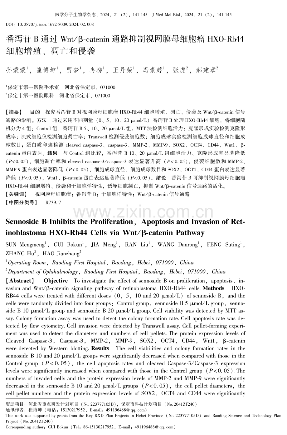 番泻苷B通过Wnt_β-catenin通路抑制视网膜母细胞瘤HXO-Rb44细胞增殖、凋亡和侵袭.pdf_第1页