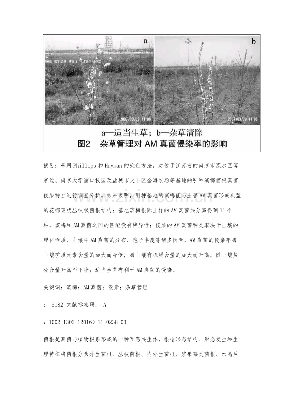 引种滨梅菌根侵染特性研究.docx_第2页