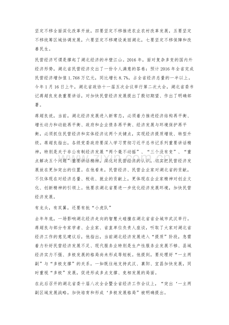 湖北省：加快构建多极发展新格局.docx_第3页