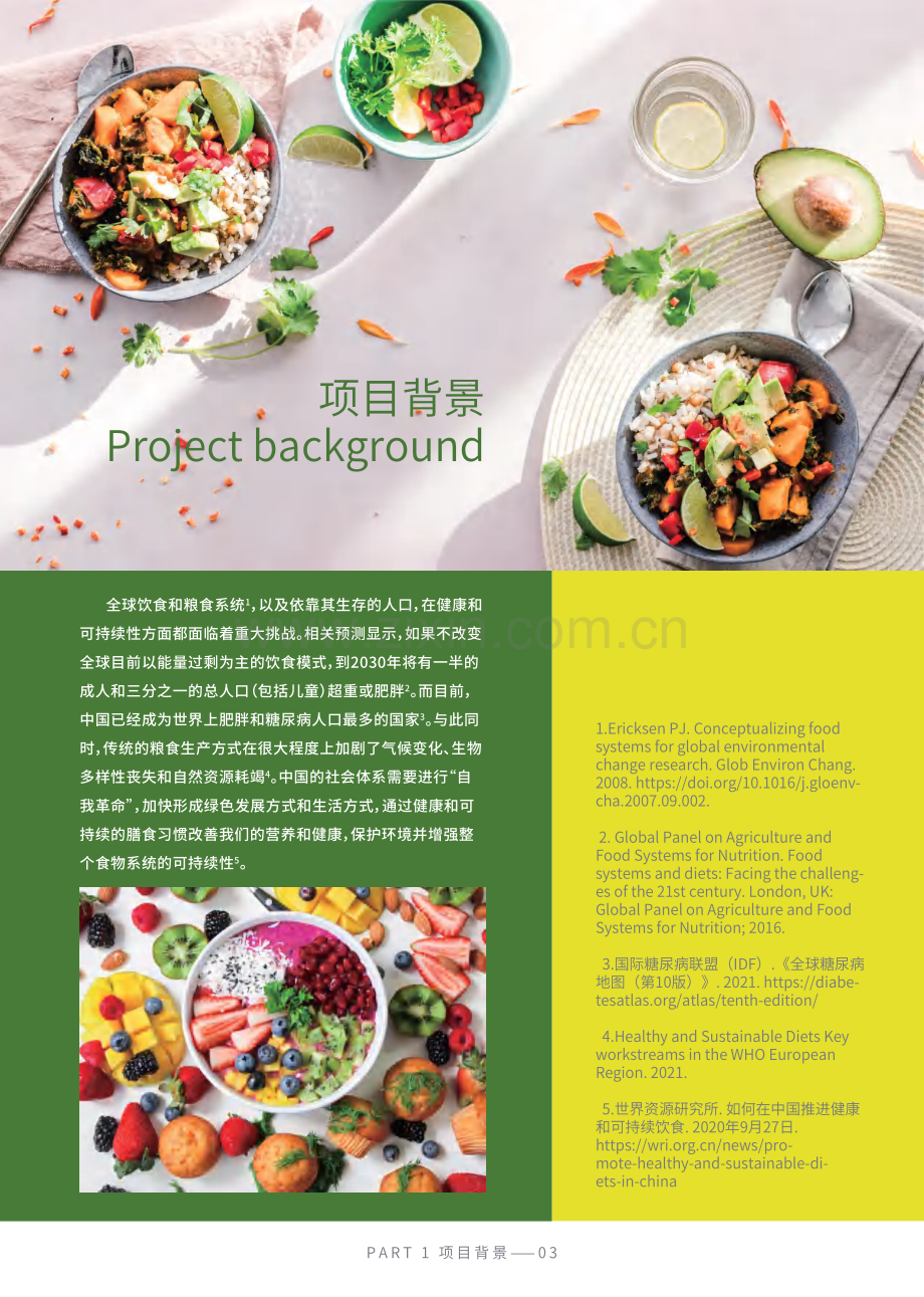 健康与可持续膳食干预应用手册.pdf_第3页