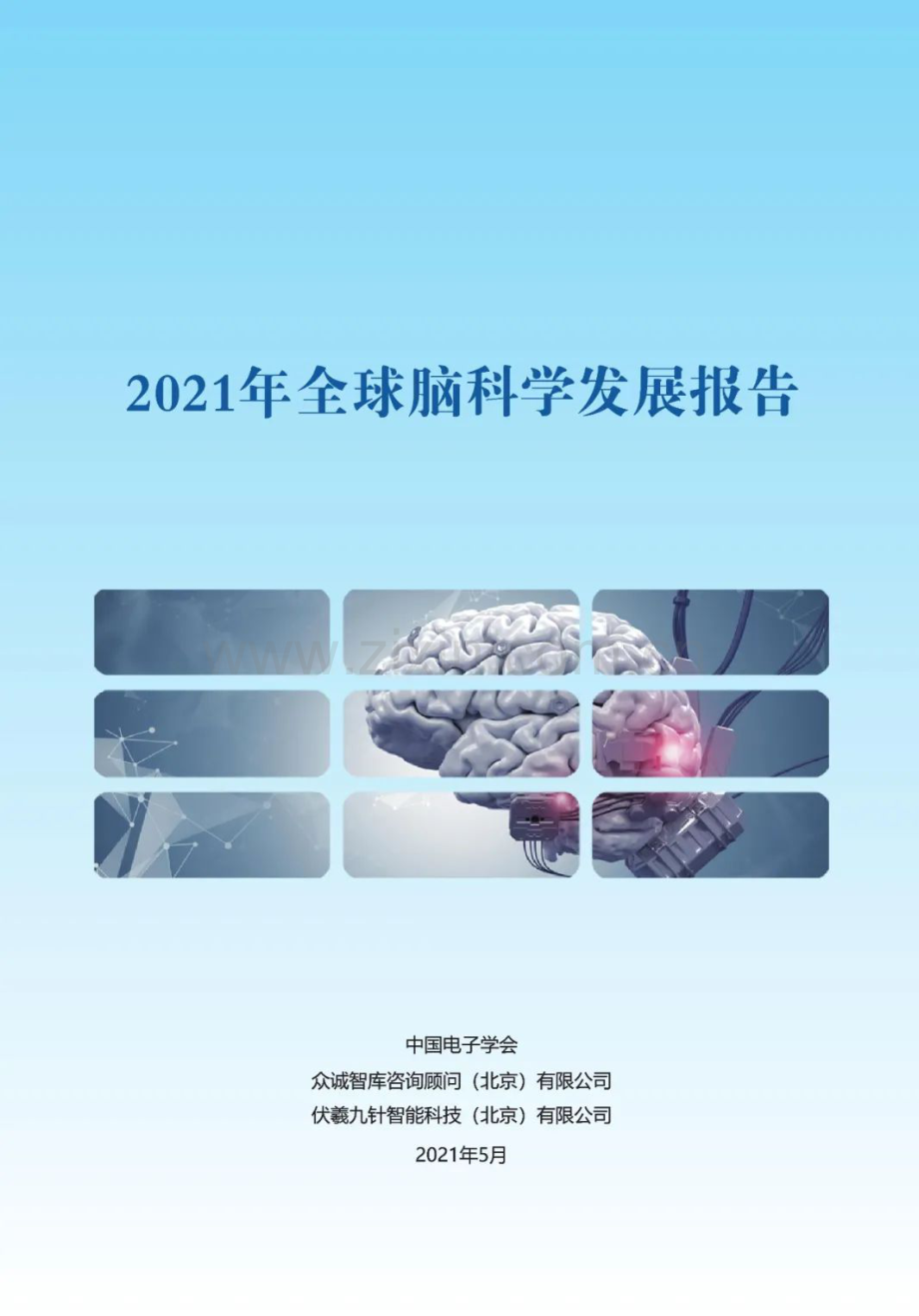 2021全球脑科学发展报告.pdf_第1页