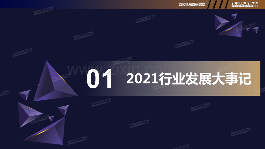 2021KOL发展年报.pdf_第3页