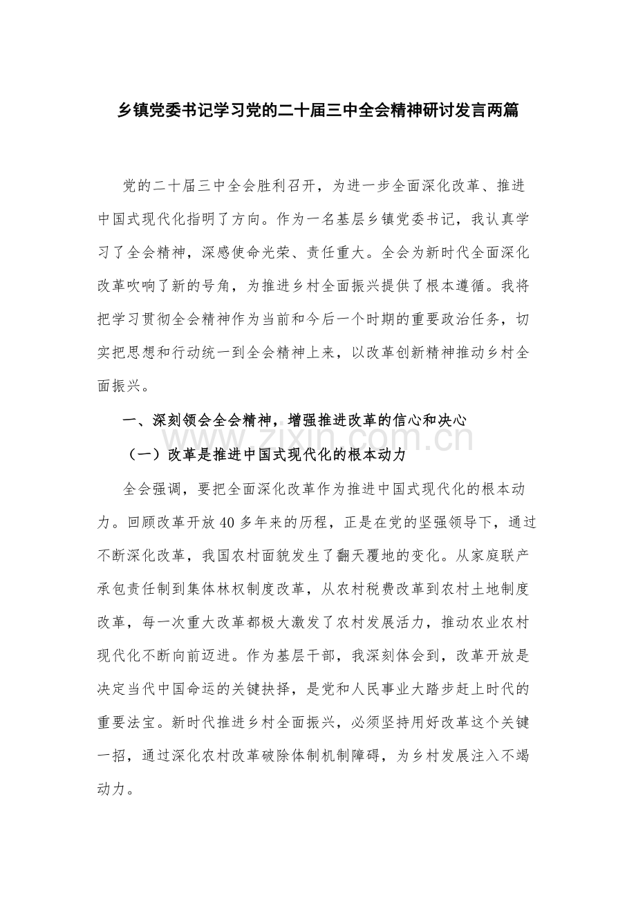 乡镇党委书记学习党的二十届三中全会精神研讨发言两篇.docx_第1页