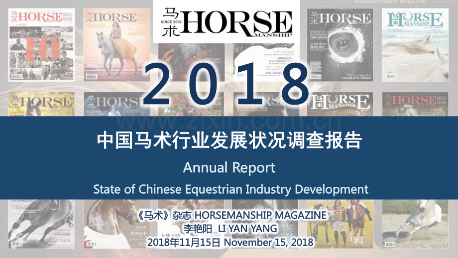 2018年中国马术行业发展状况调查报告.pdf_第1页