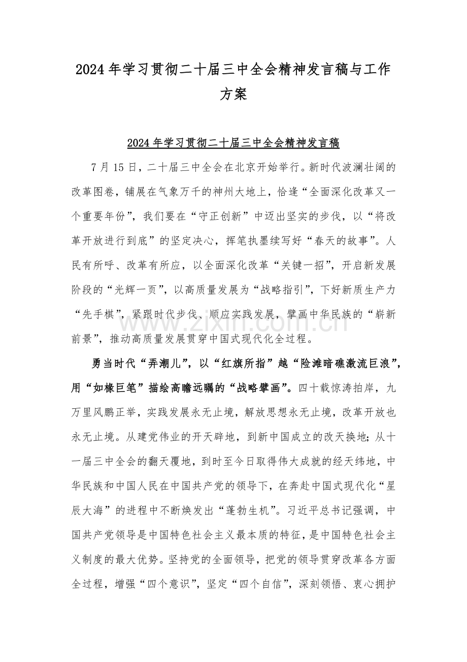 2024年学习贯彻二十届三中全会精神发言稿与工作方案.docx_第1页