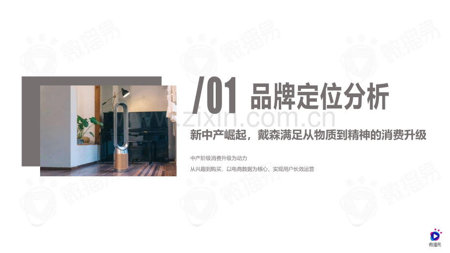 戴森品牌社媒营销分析方案.pdf_第2页