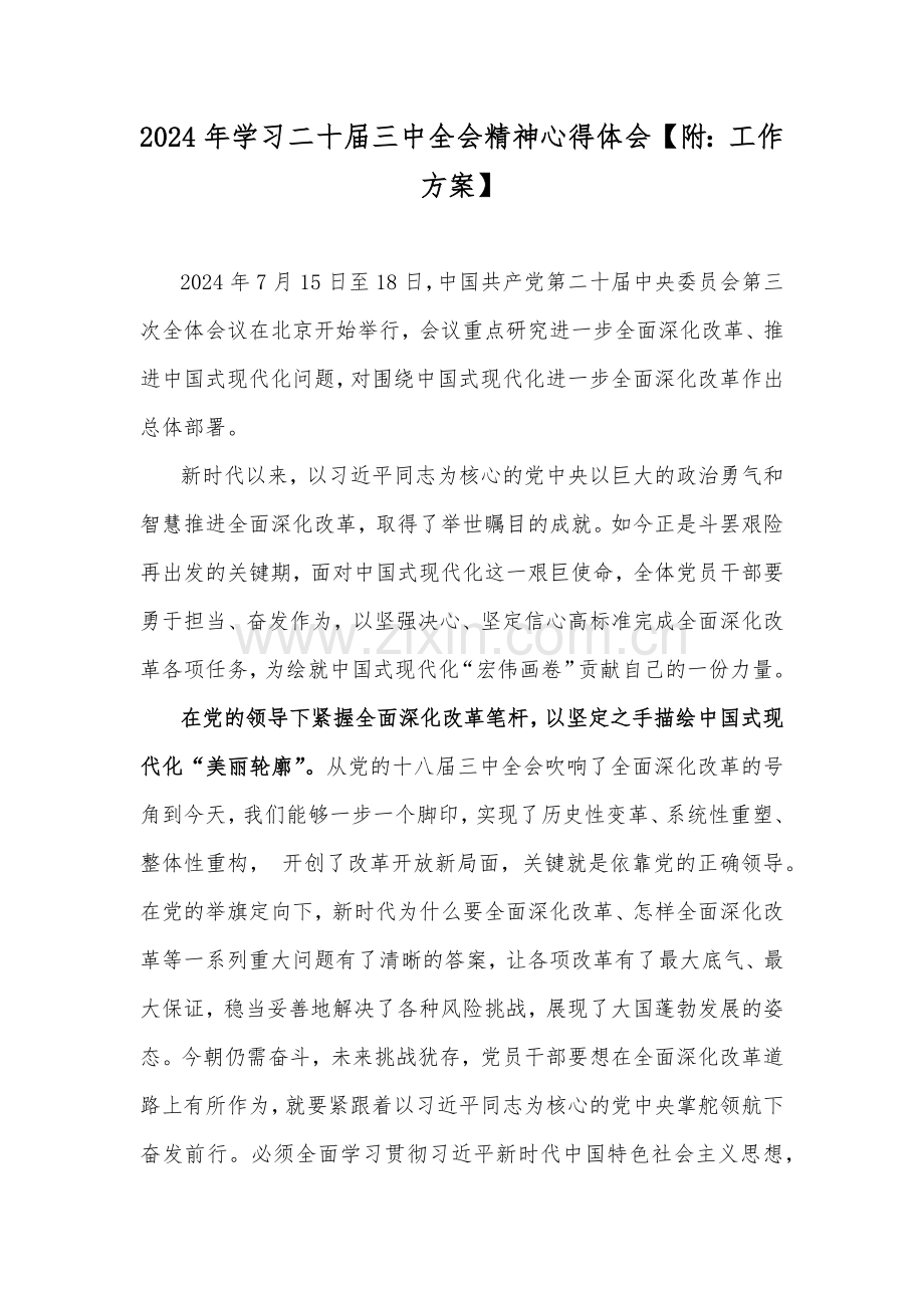 2024年学习二十届三中全会精神心得体会【附：工作方案】.docx_第1页