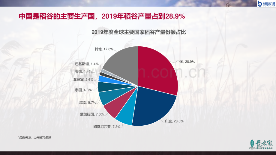 2020中国大米行业蓝皮书.pdf_第3页