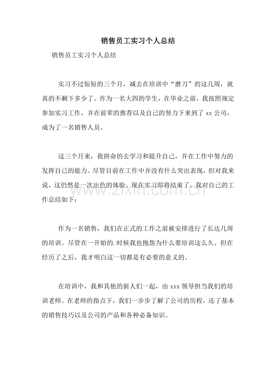 销售员工实习个人总结.doc_第1页