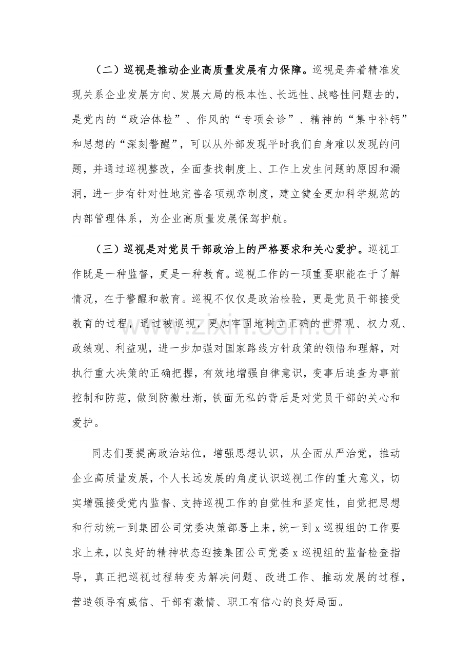 在集团公司党委巡视公司党委巡视迎检会上的讲话2024.docx_第2页