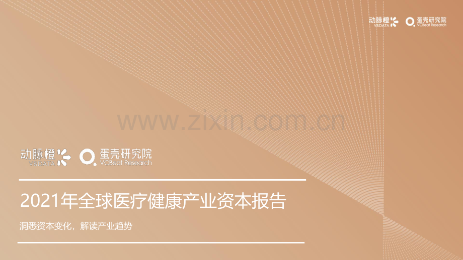 2021年全球医疗健康产业资本报告.pdf_第1页