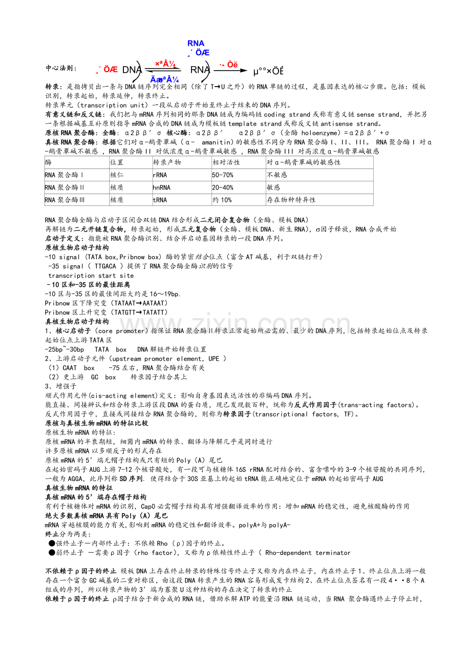 现代分子生物学复习资料.doc_第2页