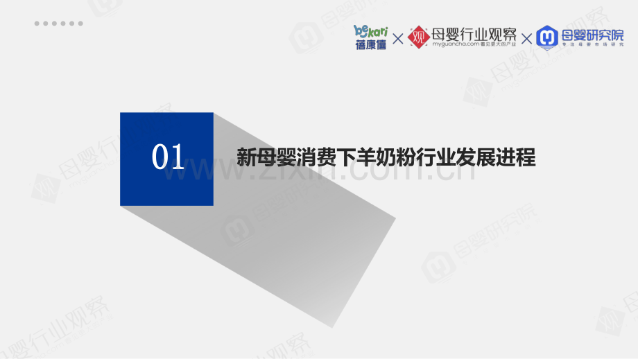 2021羊奶粉品类消费趋势白皮书.pdf_第3页