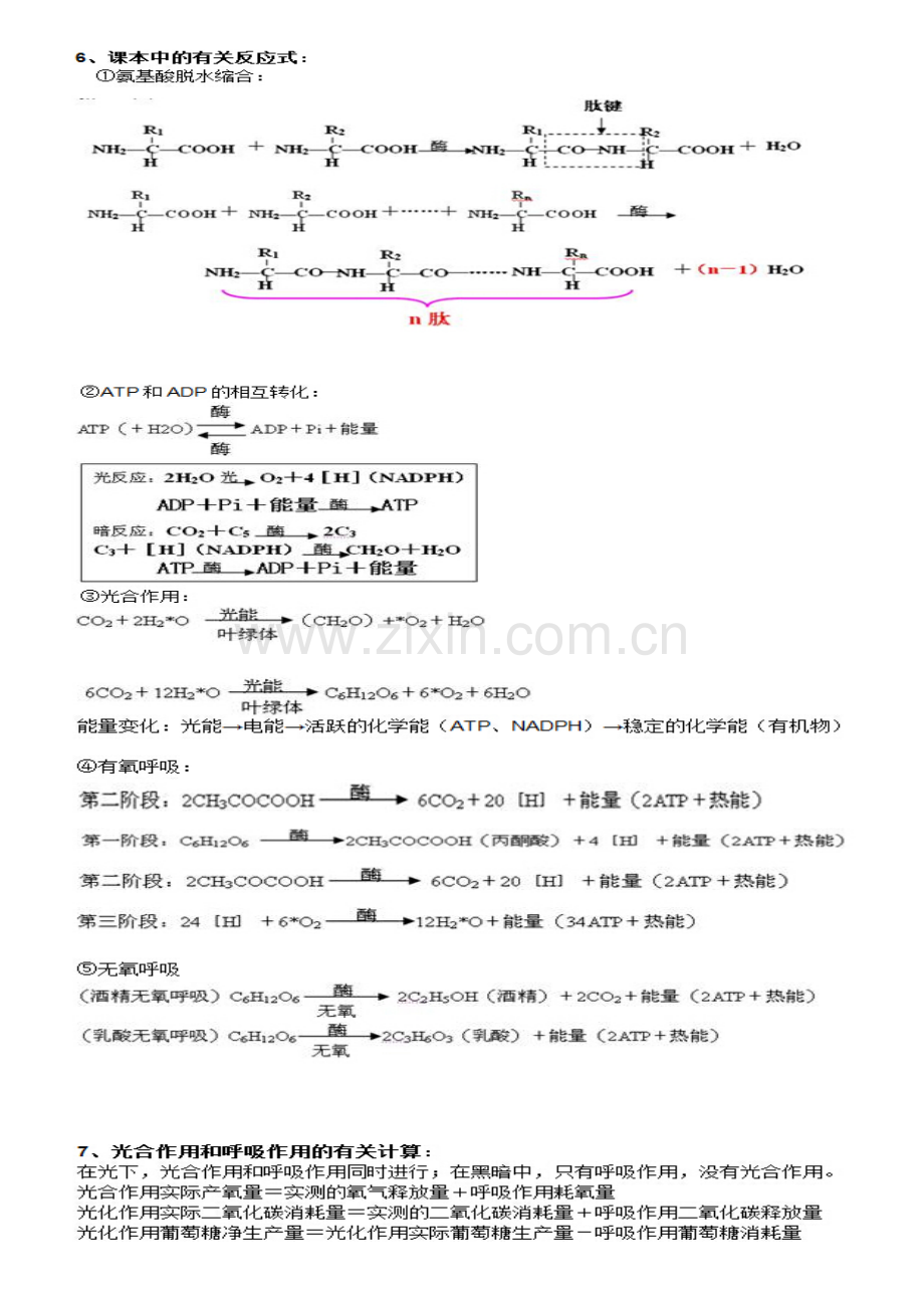 生物公式大全.doc_第2页