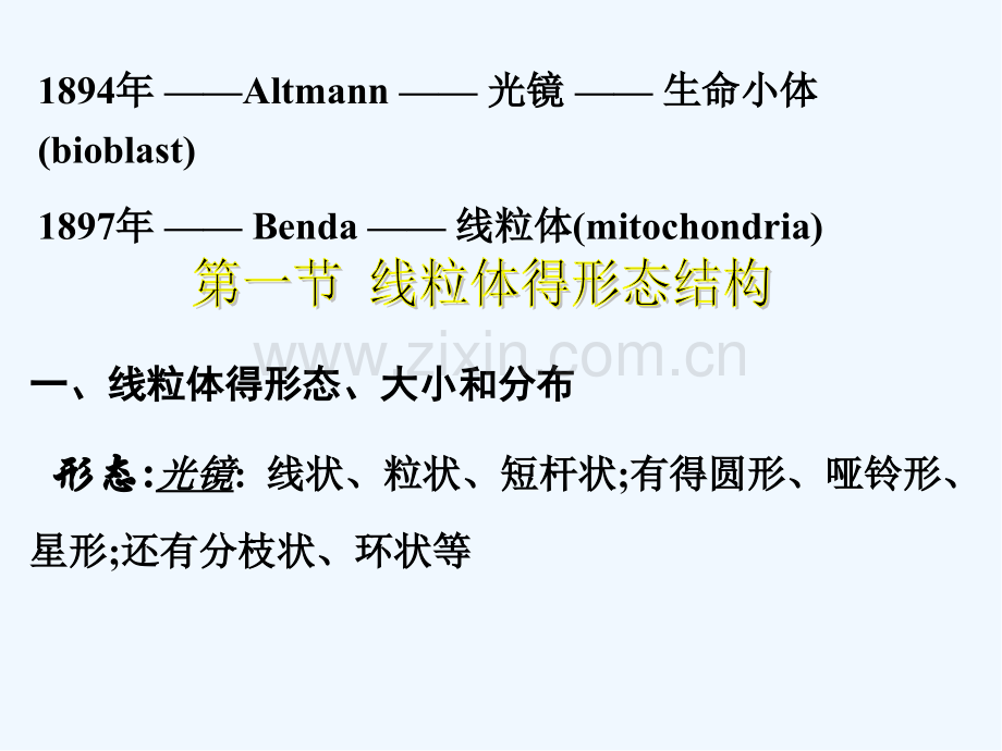 第七章线粒体的结构与功能-PPT.pptx_第2页