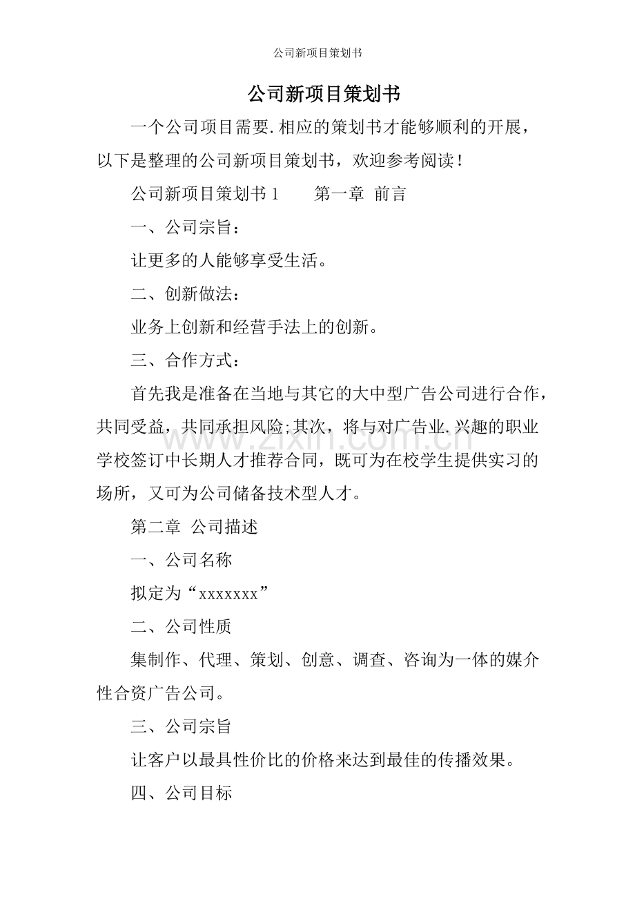 公司新项目策划书.doc_第1页